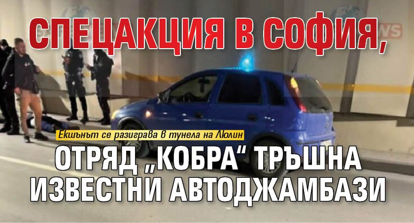 Спецакция в София, отряд „Кобра“ тръшна известни автоджамбази