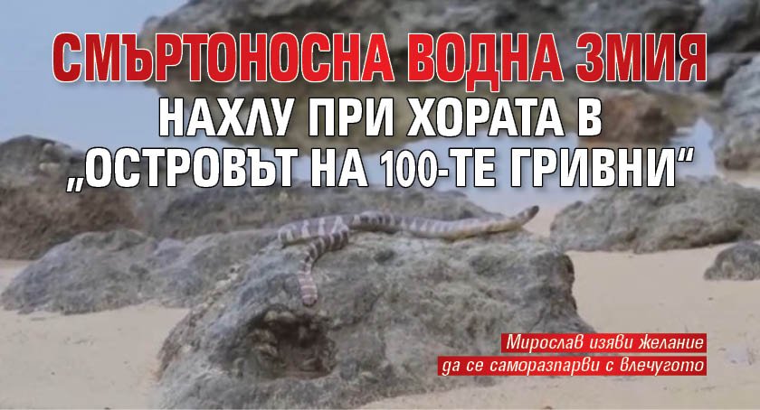 Смъртоносна водна змия нахлу при хората в „Островът на 100-те гривни“