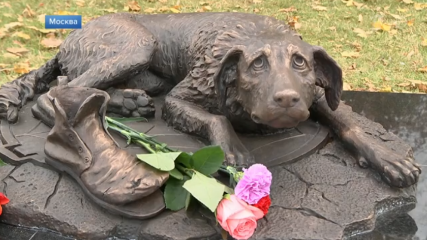 Издигнаха паметник на бездомните животни в Москва (ВИДЕО)
