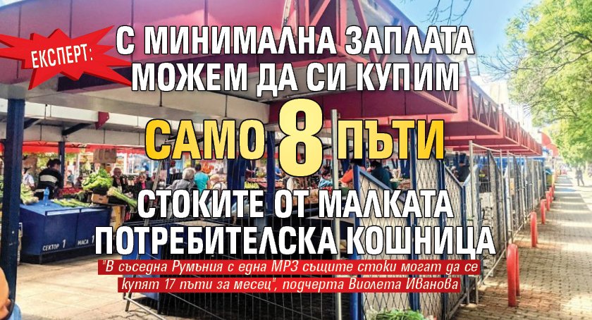 Експерт: С минимална заплата можем да си купим само 8 пъти стоките от малката потребителска кошница