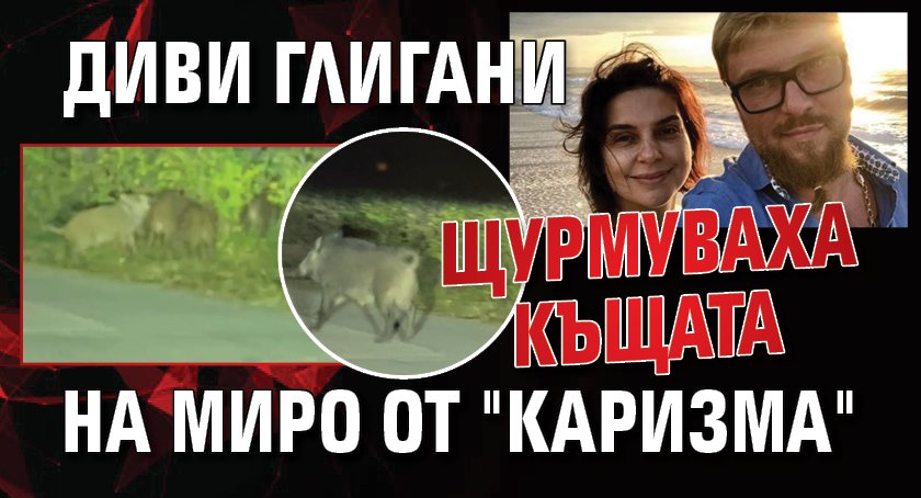 Диви глигани щурмуваха къщата на Миро от "Каризма"