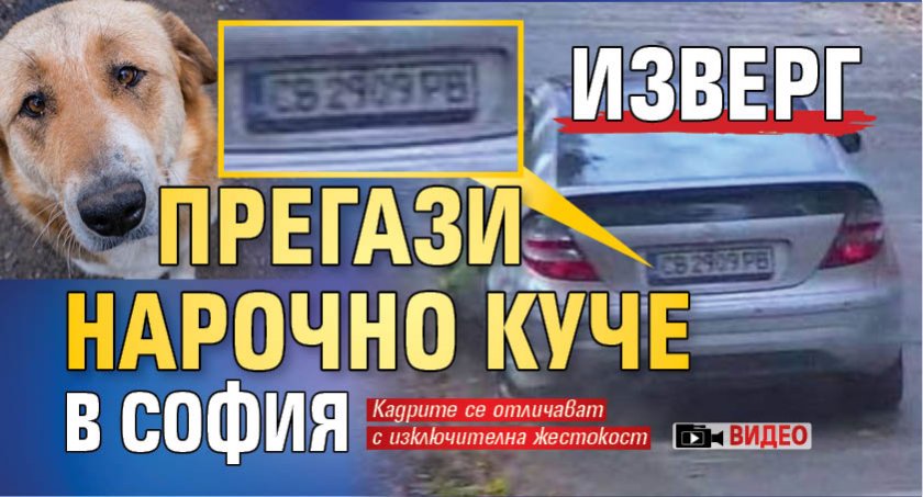 Изверг прегази нарочно куче в София (ВИДЕО)