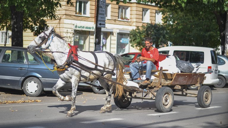 Кой следи за каруците по столичните булеварди?