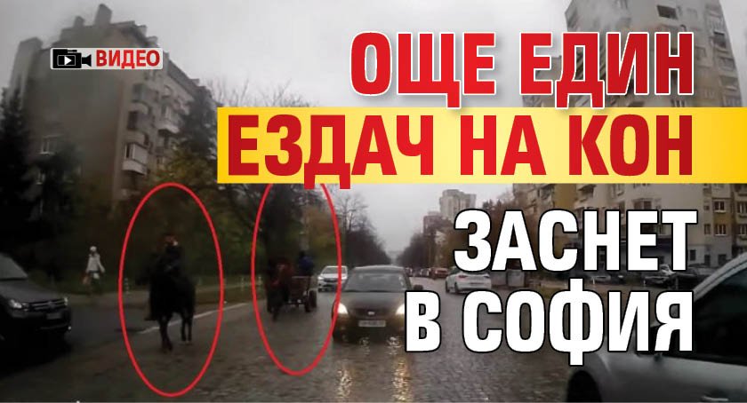 Още един ездач на кон заснет в София (видео)