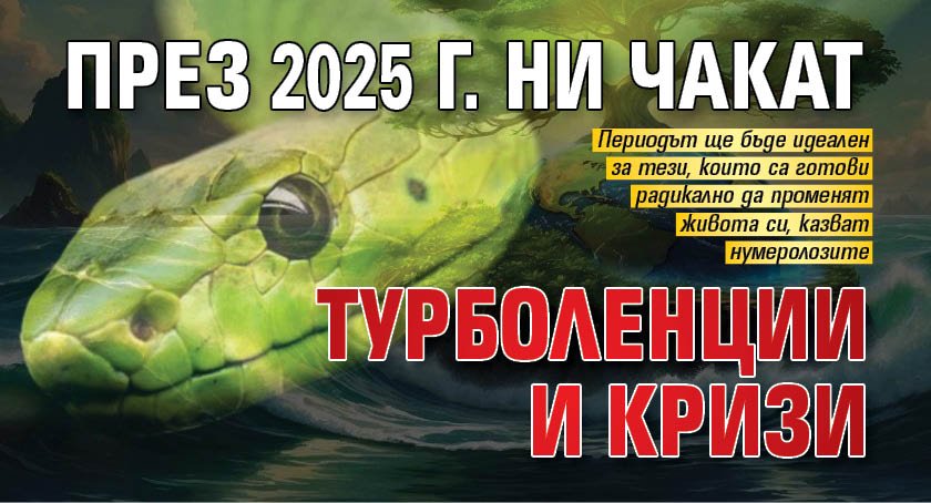 През 2025 г. ни чакат турболенции и кризи 