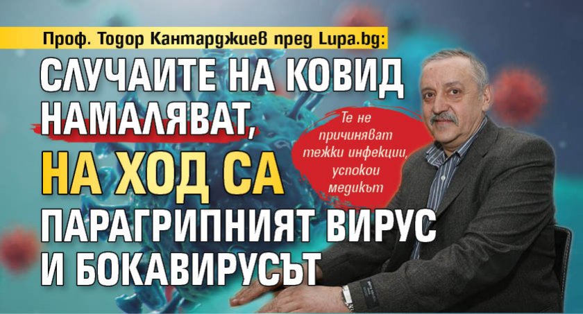 Проф. Тодор Кантарджиев пред Lupa.bg: Случаите на ковид намаляват, на ход са парагрипният вирус и бокавирусът