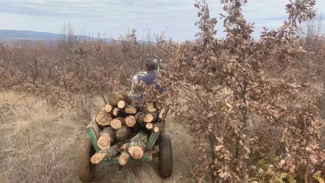 Горски инспектор е нападнат с колове от бракониери в Градец