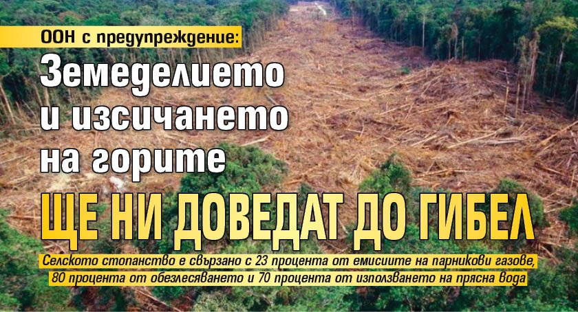 ООН с предупреждение: Земеделието и изсичането на горите ще ни доведат до гибел