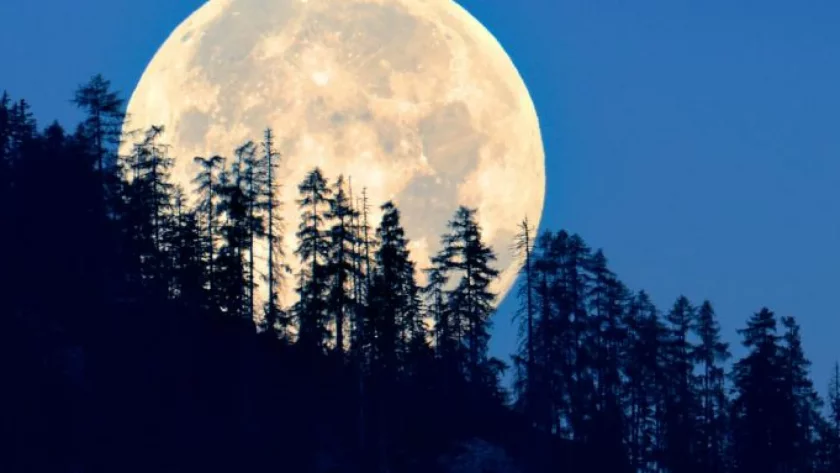 Студена луна изгрява преди Коледа. В края на годината ще