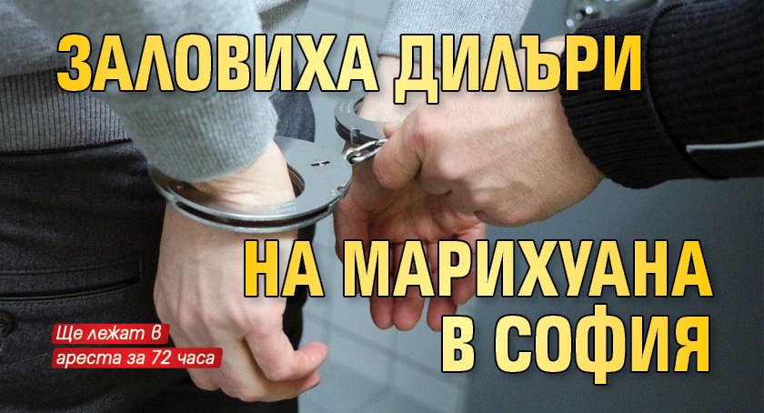 Заловиха дилъри на марихуана в София