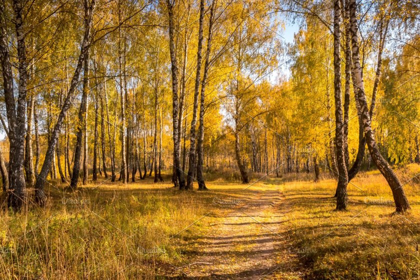 Златна есен и днес