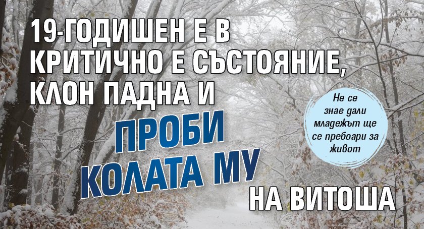 19-годишен е в критично е състояние, клон падна и проби колата му на Витоша