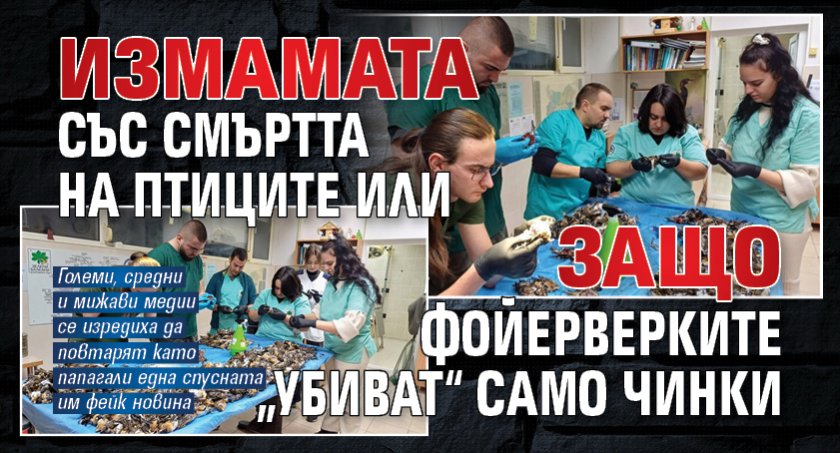 Измамата със смъртта на птиците или защо фойерверките „убиват“ само чинки 