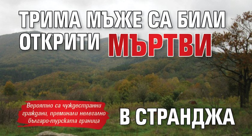 Трима мъже са били открити мъртви в Странджа