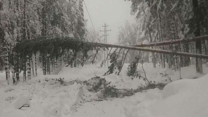 Десетки населени места остават без ток заради снега 