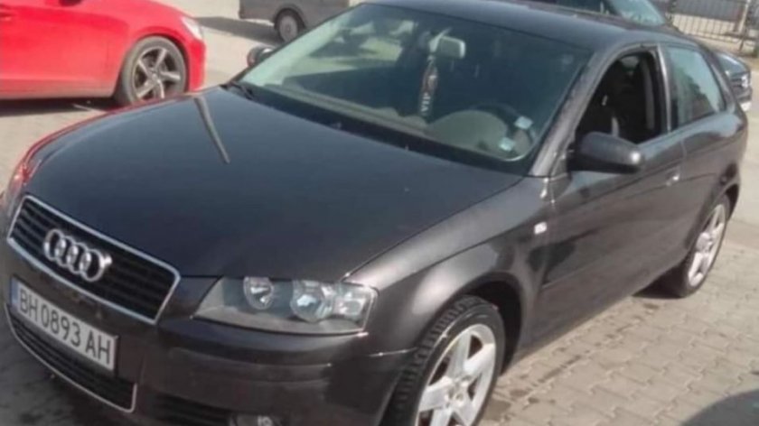 Аудито на изчезналите баща и син от  видинското село Покрайна,