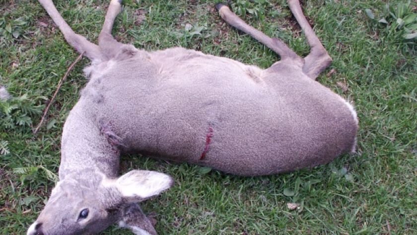 Мъж намери пред входната врата на къщата си в Трънско