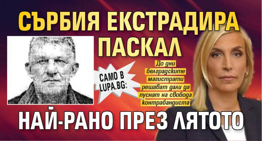 Само в Lupa.bg: Сърбия екстрадира Паскал най-рано през лятото