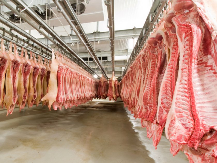 Заради огнищата на шап в Германия, които според ветеринарните власти