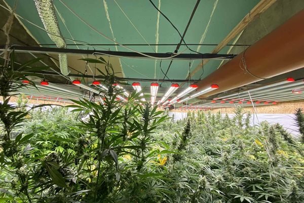 В сграда на ул. Уста Колю Фичето във Варна била