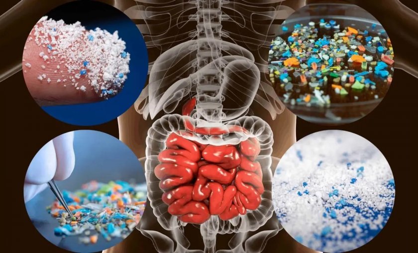 Микро- и нанопластмасите, които от години замърсяват околната среда, вече