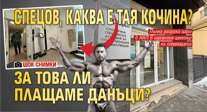 Спецов, каква е тая кочина? За това ли плащаме данъци? (ШОК СНИМКИ)