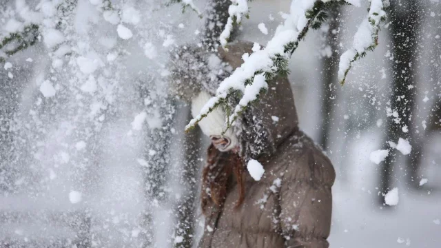 Продължава серията от мразовити дни. Жълт код е обявен за