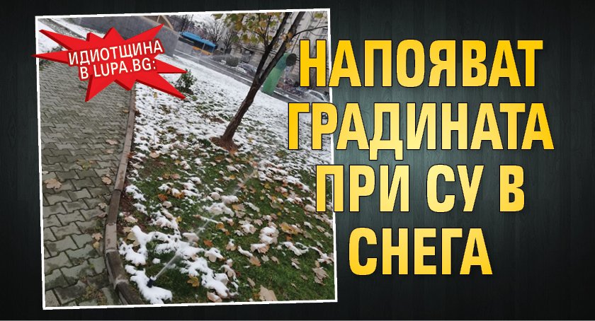 Идиотщина в Lupa.bg: Напояват градината при СУ в снега