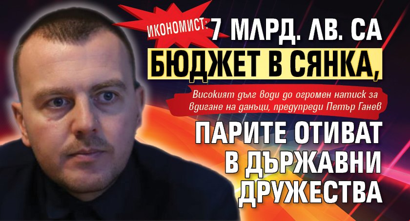 Икономист: 7 млрд. лв. са бюджет в сянка, парите отиват в държавни дружества