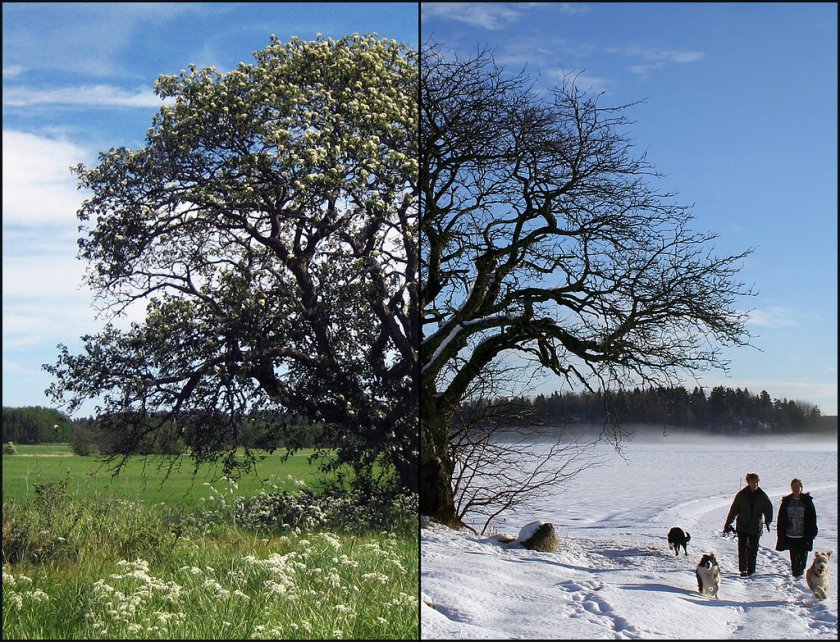Баба Марта ще оправдае напълно мнението, че е фурия и