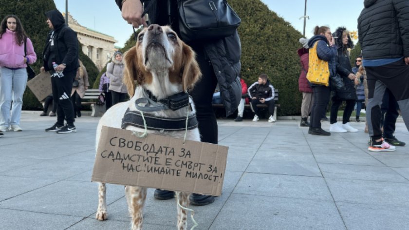 Протест срещу жестокостта към животните в Русе