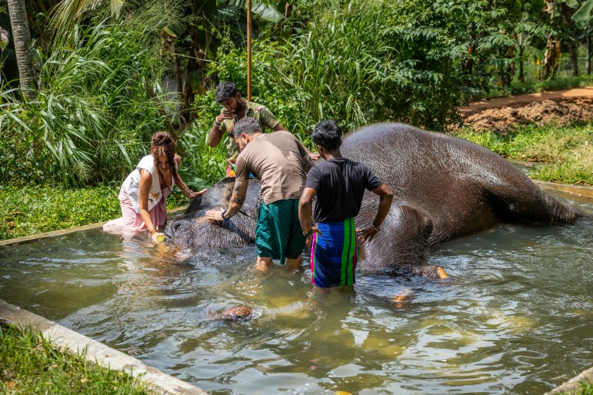 О, колко е голям!“ – възкликна Мартина по време на