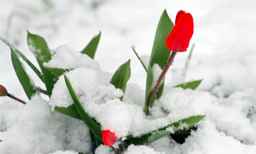 През нощта срещу 7 април ще бъде облачно, сочи прогнозата