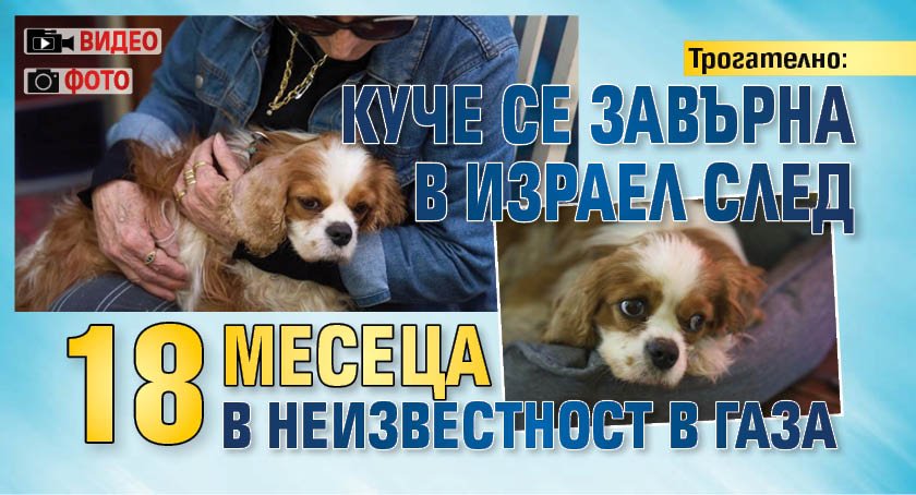 Трогателно: Куче се завърна в Израел след 18 месеца в неизвестност в Газа (ФОТО+ВИДЕО)