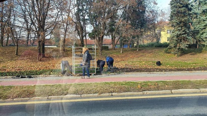 Безумно засаждане на теменужки през зимата!