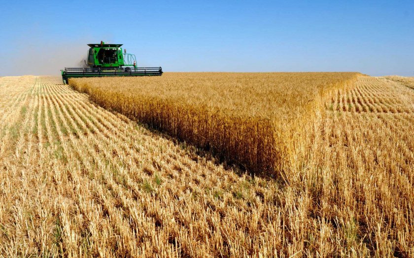 Климатичните промени обричат зърнопроизводството