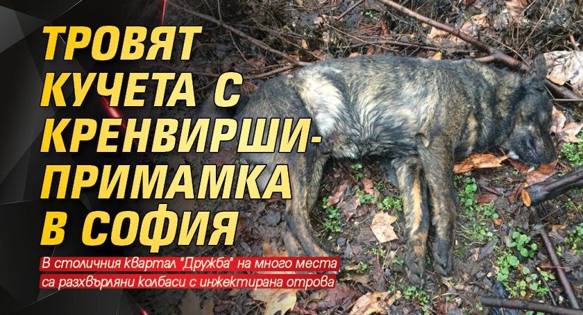 Тровят кучета с кренвирши-примамка в София 