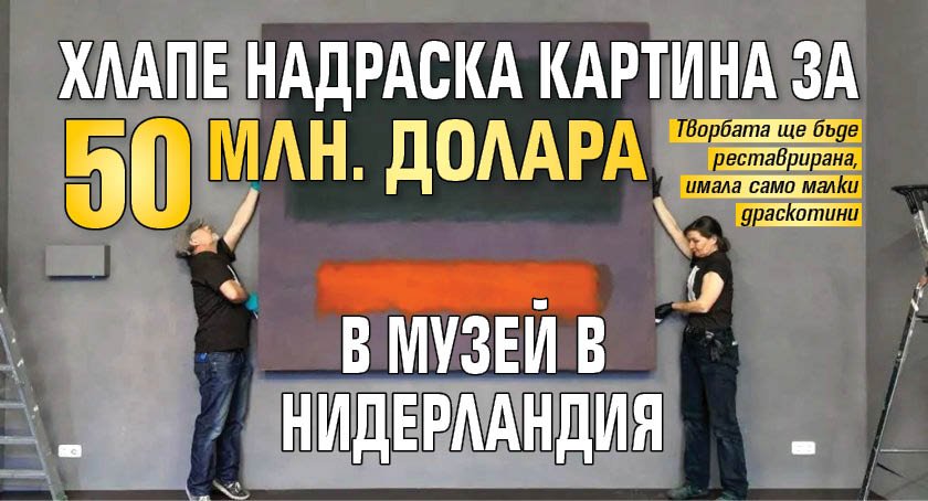 Хлапе надраска картина за 50 млн. долара в музей в Нидерландия