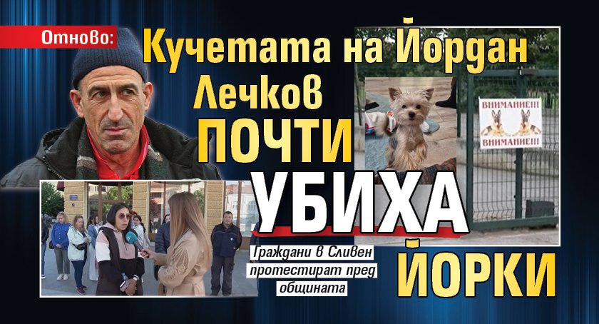 Отново: Кучетата на Йордан Лечков почти убиха йорки