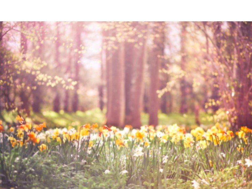 Днес ще бъде предимно слънчево. В сутрешните часове на отделни