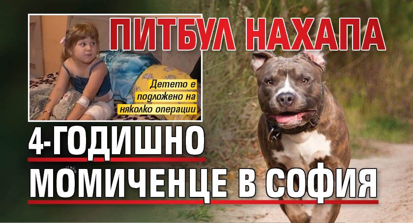 Питбул нахапа 4-годишно момиченце в София