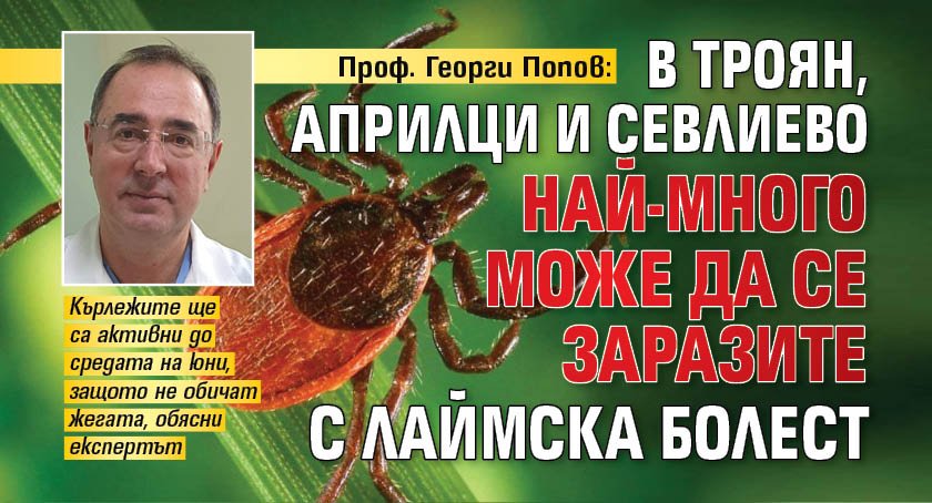 Проф. Георги Попов: В Троян, Априлци и Севлиево най-много може да се заразите с лаймска болест
