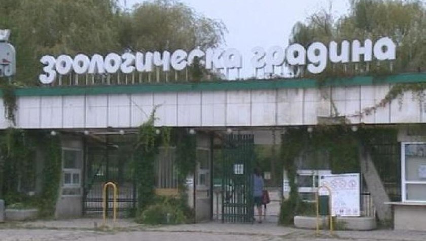 Вход свободен за всички на 1 юни в столичния зоопарк