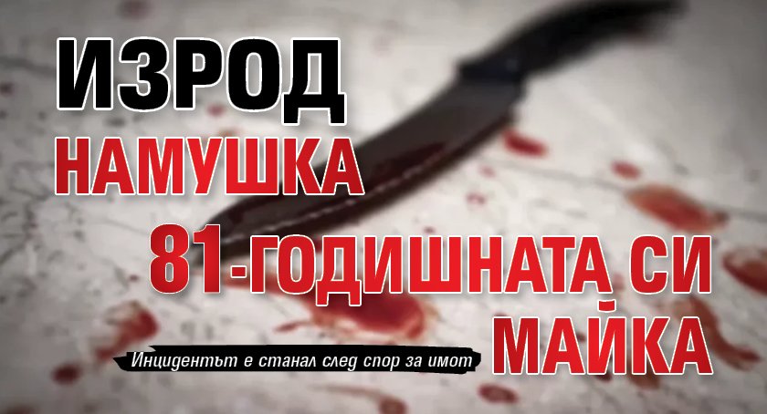 Изрод намушка 81-годишната си майка