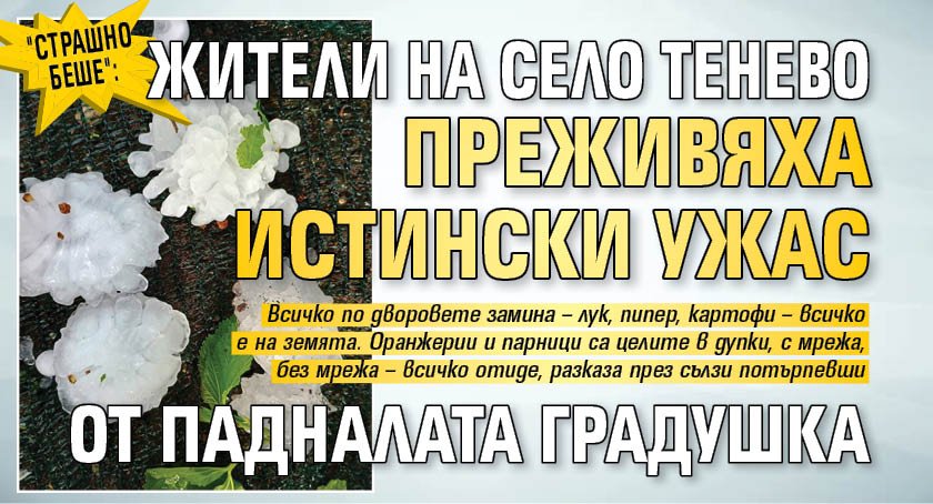 "Страшно беше": Жители на село Тенево преживяха истински ужас от падналата градушка