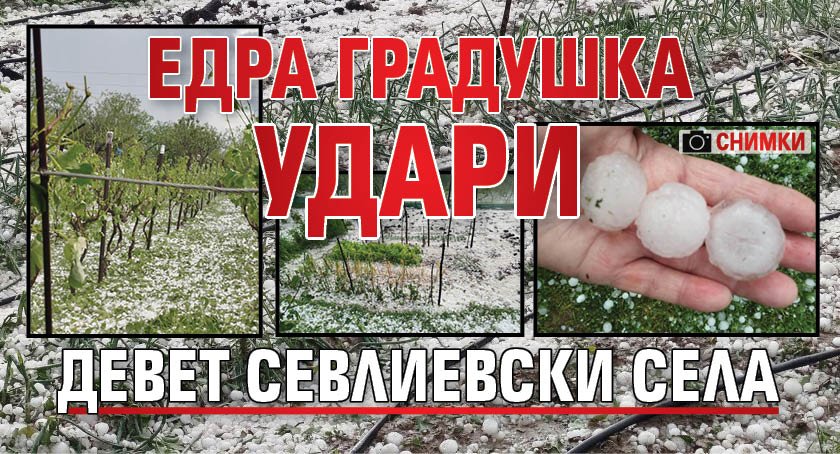 Едра градушка удари девет севлиевски села (Снимки)