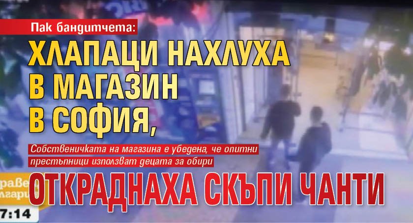 Пак бандитчета: Хлапаци нахлуха в магазин в София, откраднаха скъпи чанти
