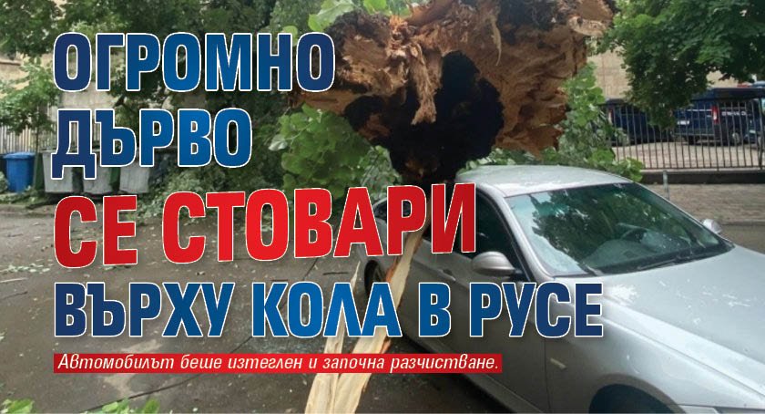 Огромно дърво се стовари върху кола в Русе