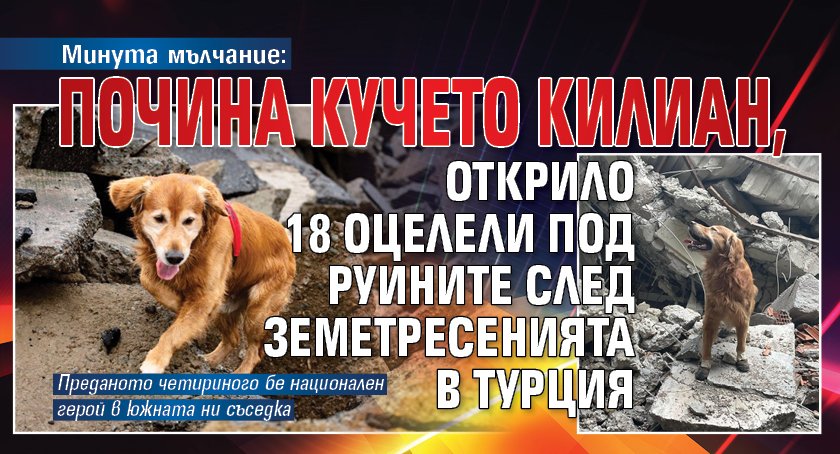 Минута мълчание: Почина кучето Килиан, открило 18 оцелели под руините след земетресенията в Турция