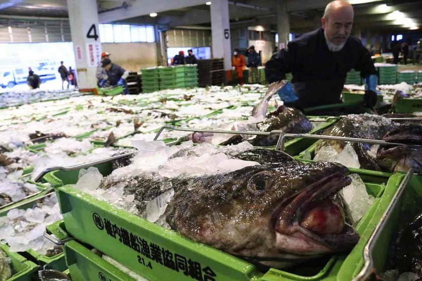 Китай възобновява вноса на морска храна от Япония